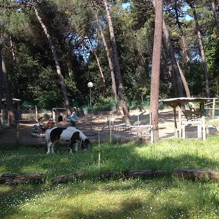 Hotel Stella Maris 2*