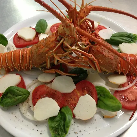 Stella Maris Hotel Cervia