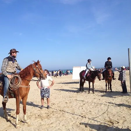 Stella Maris 2* Cervia