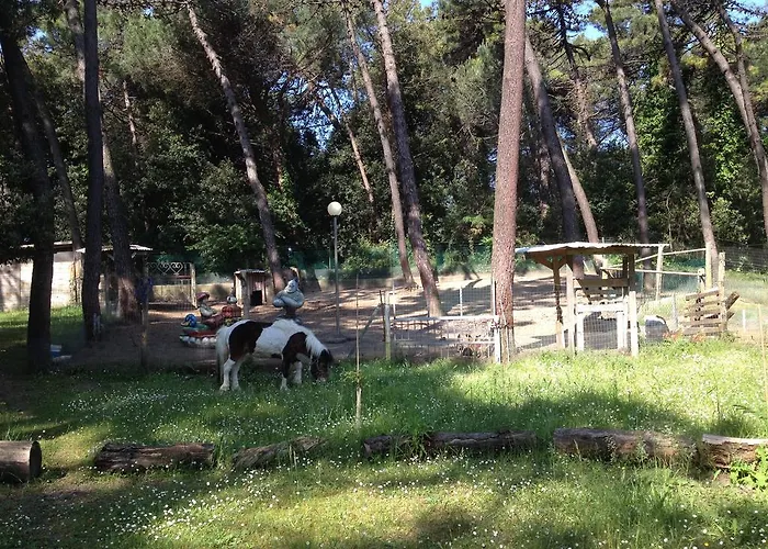 Hotel Stella Maris 2*