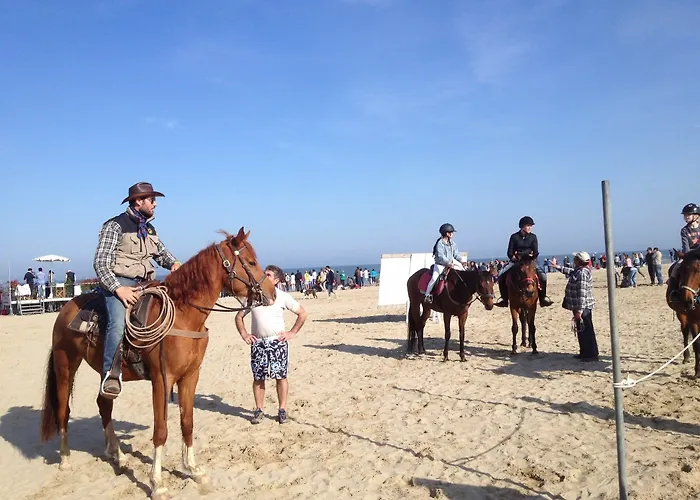 Stella Maris 2* Cervia